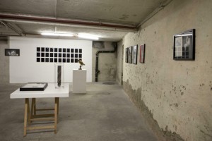 https://www.wp12222508.server-he.ch/files/gimgs/th-231_231_144ausstellungsansicht-ich-tier-du-mensch3.jpg